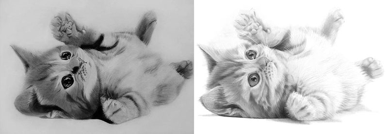 Comparison of the drawing by Art Thief with mine, by Artist Sophie Lawson