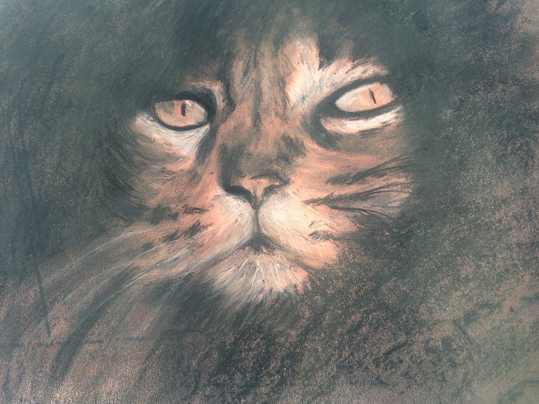 Katie Comley Jones Art Class Oxide Powder and Pastels Cat Drawing by Artist Sophie Lawson