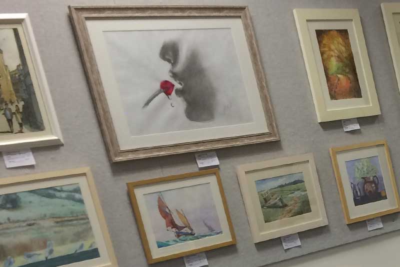 Plymouth Arts Club Summer Art Exhibition 2016 at the Plymstock Library, Plymouth with Artist Sophie Lawson