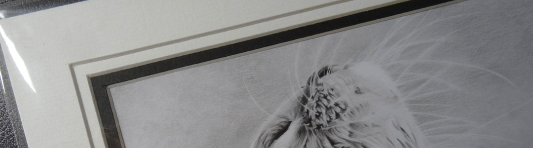 Win a Giclée Print, by Artist Sophie Lawson