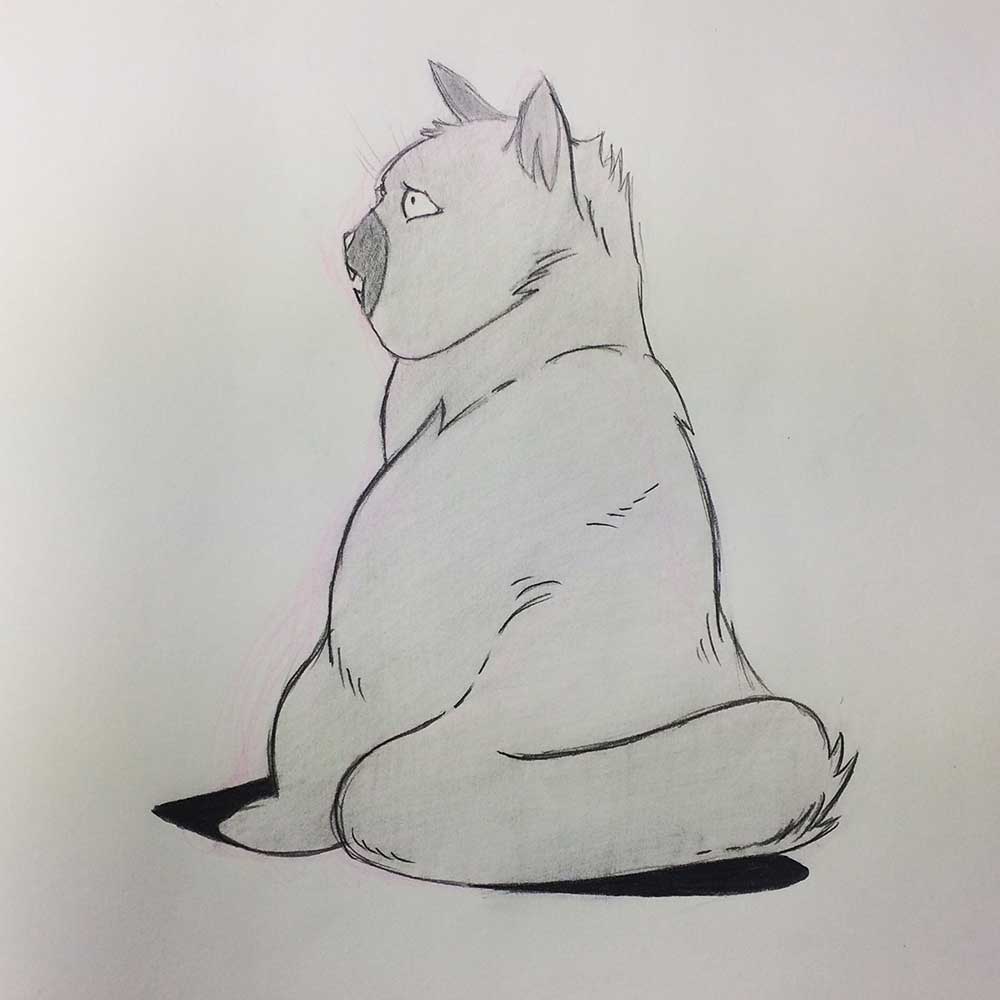 SKETCH OF A DANIEL ISLES CAT FROM CHARACTER DESIGN QUARTERLY MAGAZINE 3 for Cats of June 2019 Art Challenge, with Transgender Artist Sophie Lawson
