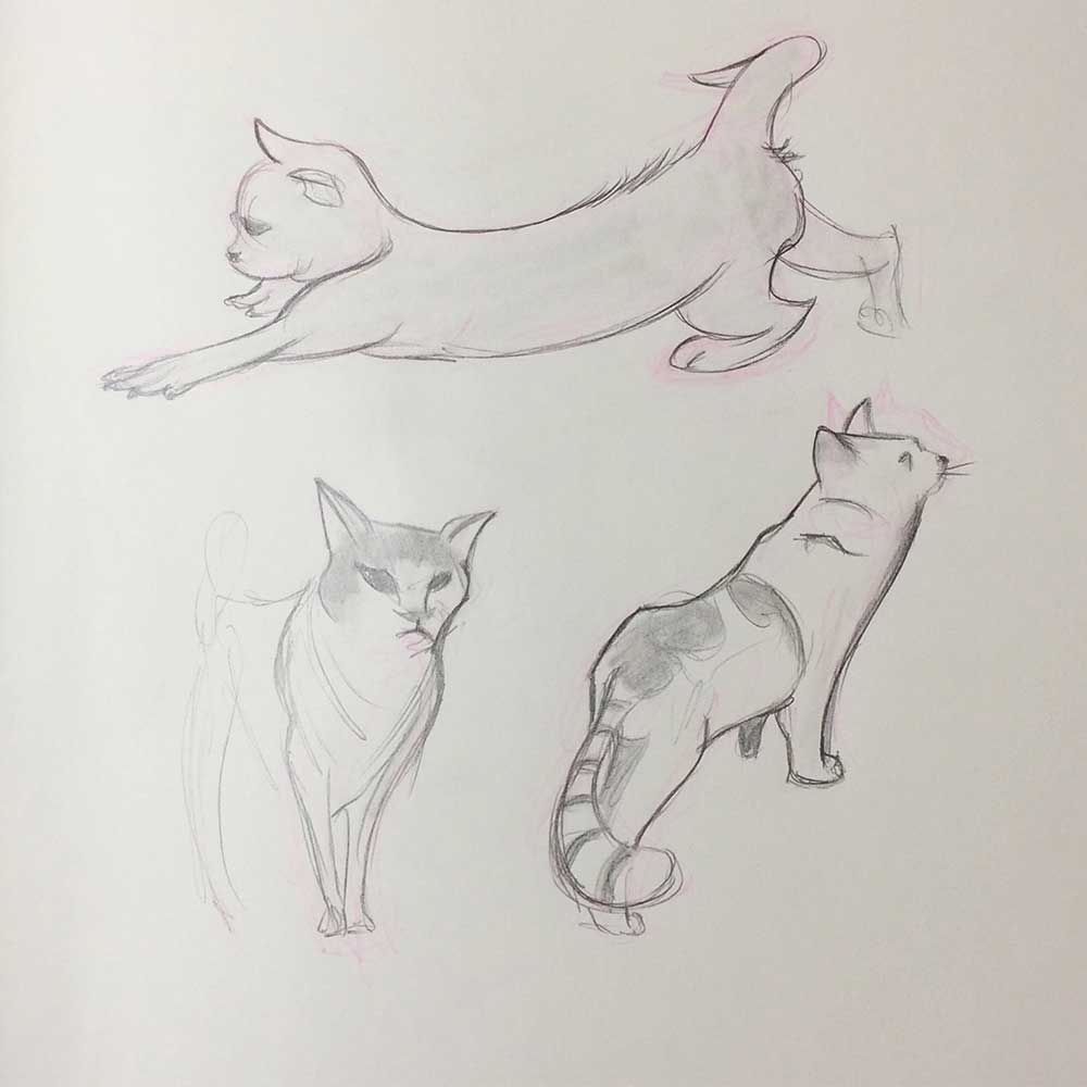 SKETCH OF A LOIS VAN BAARLE FROM THE SKETCHBOOK OF LOISH for Cats of June 2019 Art Challenge, with Transgender Artist Sophie Lawson