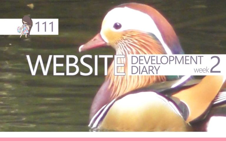 111 – WEBSITE DEVELOPMENT DIARY : WEEK TWO