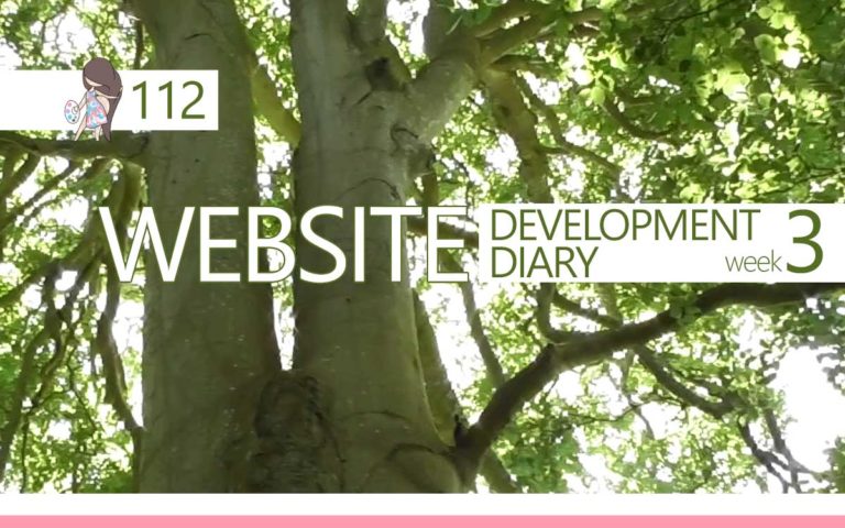 112 • WEBSITE DEVELOPMENT DIARY : WEEK THREE