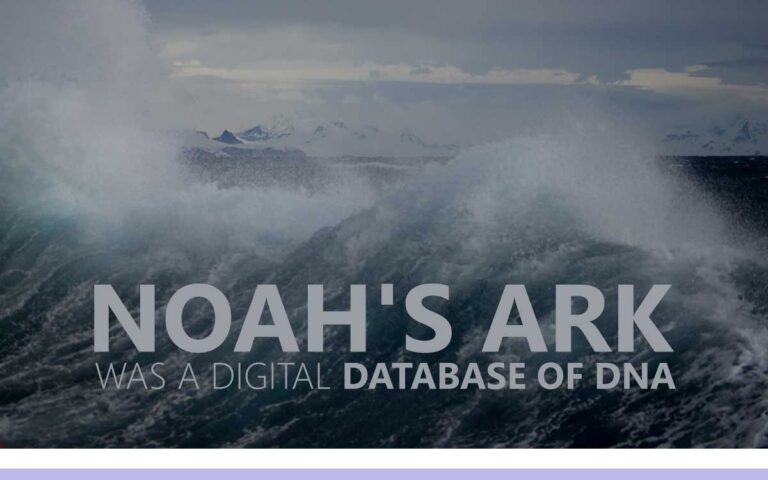 158 • NOAH’S ARK WAS A DIGITAL DATABASE OF DNA