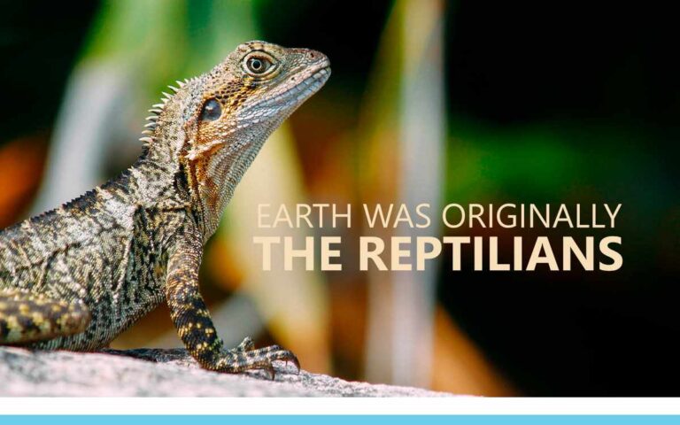 Earth was originally the Reptilians - An About the Tings Episode 167 of the So Free Art Podcast, with Artist Sophie Lawson