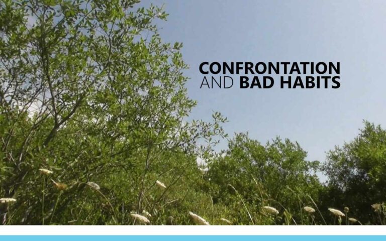 Confrontation and Bad Habits - An About the Tings Episode 173 of the So Free Art Podcast, with Artist Sophie Lawson