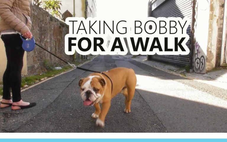 Taking Bobby For A Walk - An About the Tings Episode 182 of the So Free Art Podcast, with Artist Sophie Lawson