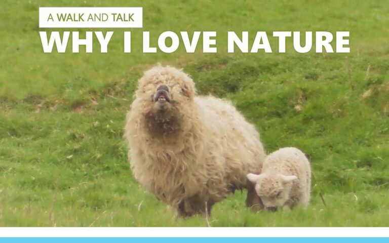 Why I Love Nature : An About The Tings Walk and Talk Episode 210 of the So Free Art Podcast, with Artist Sophie Lawson