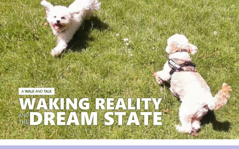 217 • WAKING REALITY AND THE DREAM STATE RELATIONSHIP