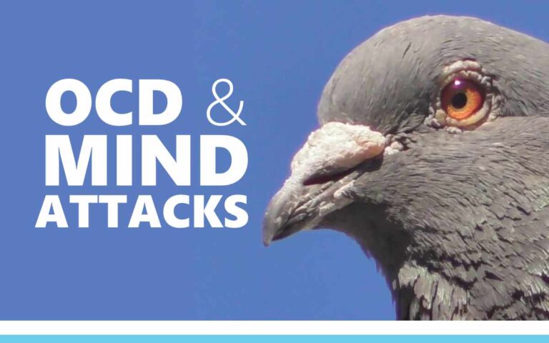 OCD and Mind Attacks : An About The Tings Walk and Talk Episode 255 of the So Free Art Podcast, with Artist Sophie Lawson