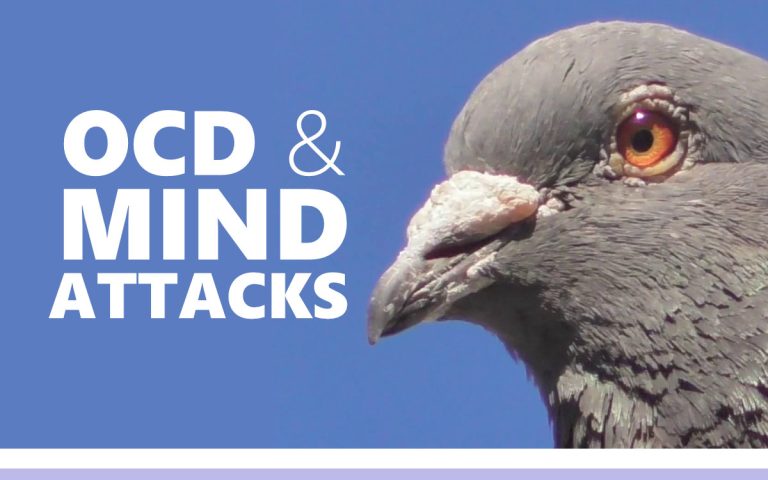 255 • OCD AND MIND ATTACKS